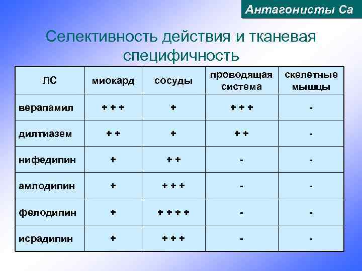 Антагонисты Са Селективность действия и тканевая специфичность миокард сосуды проводящая система скелетные мышцы верапамил