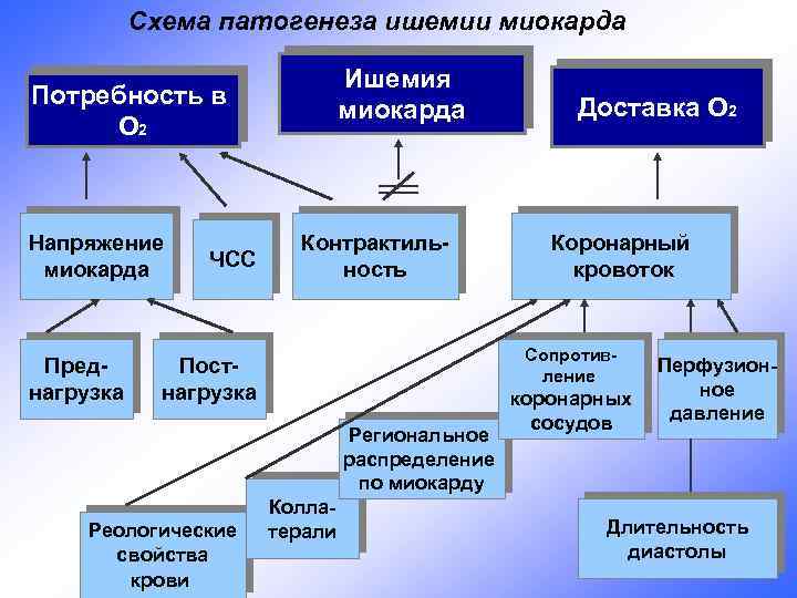 Схема патогенеза ишемии миокарда Ишемия миокарда Потребность в О 2 Напряжение миокарда Преднагрузка ЧСС