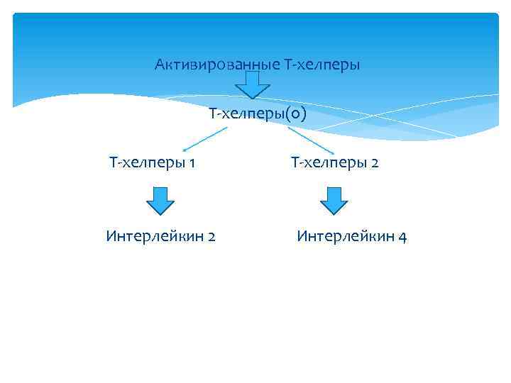 Активированные Т-хелперы(0) Т-хелперы 1 Интерлейкин 2 Т-хелперы 2 Интерлейкин 4 