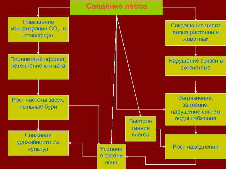 Сведение лесов Повышение концентрации CO 2 в атмосфере Сокращение числа видов растении и животных