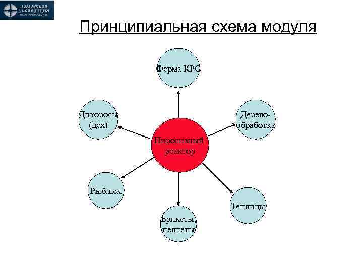 Принципиальная схема модуля Ферма КРС Дикоросы (цех) Деревообработка Пиролизный реактор Рыб. цех Теплицы Брикеты,