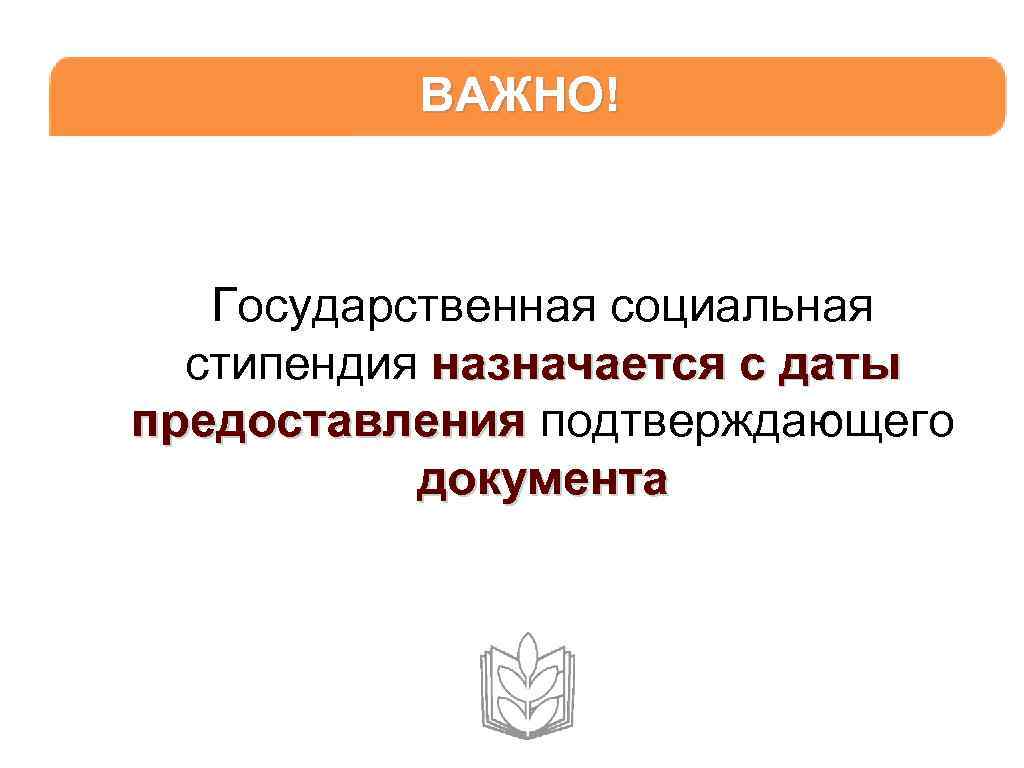 ВАЖНО! Государственная социальная стипендия назначается с даты предоставления подтверждающего документа 