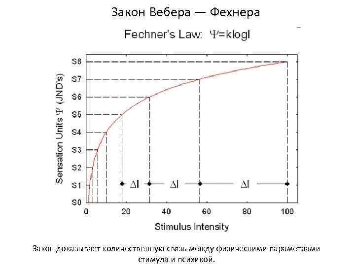 Закон Вебера — Фехнера Закон доказывает количественную связь между физическими параметрами стимула и психикой.