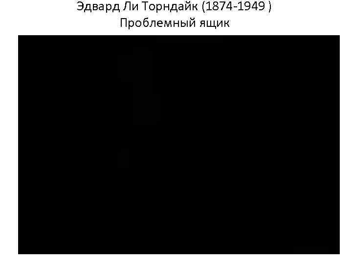 Эдвард Ли Торндайк (1874 1949 ) Проблемный ящик 