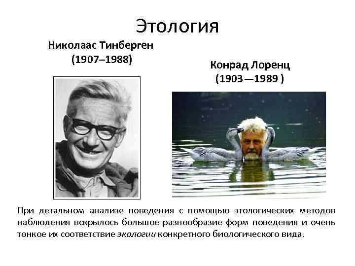 Этология Николаас Тинберген (1907– 1988) Конрад Лоренц (1903— 1989 ) При детальном анализе поведения