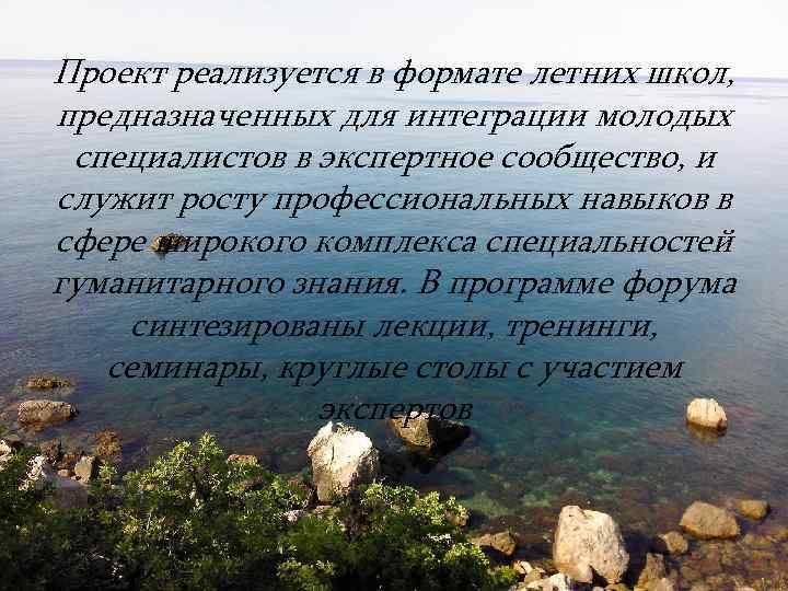 Проект реализуется в формате летних школ, предназначенных для интеграции молодых специалистов в экспертное сообщество,