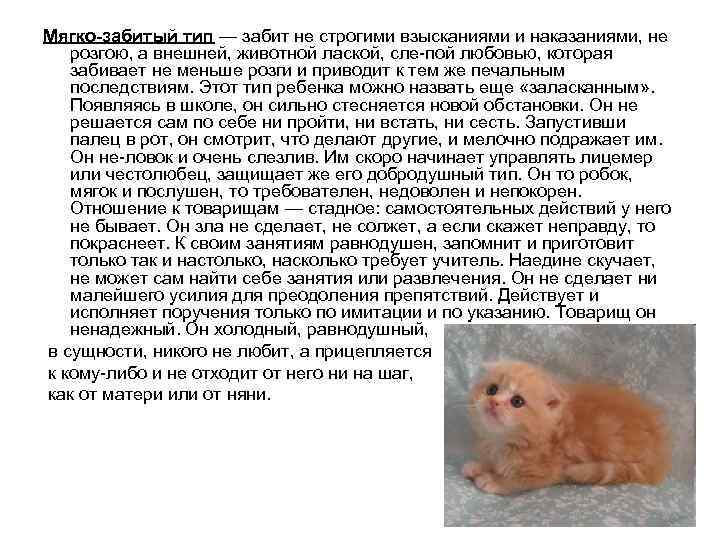 Мягко-забитый тип — забит не строгими взысканиями и наказаниями, не розгою, а внешней, животной