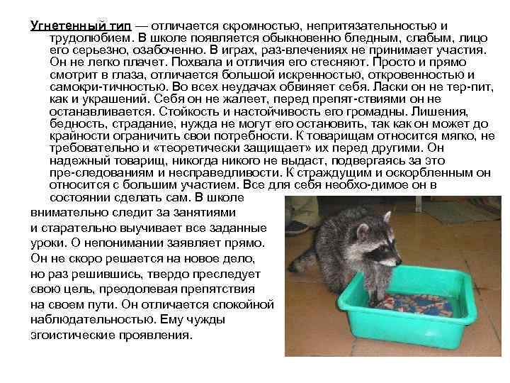 Угнетенный тип — отличается скромностью, непритязательностью и трудолюбием. В школе появляется обыкновенно бледным, слабым,