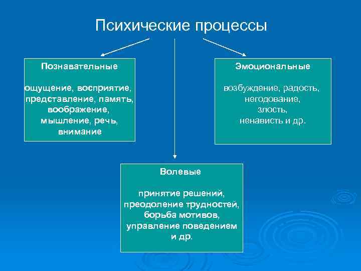 Заполните схемы восприятие объективное память представление память воображение