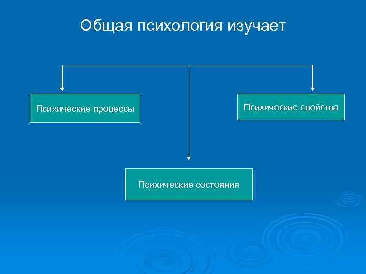 Общая психология изучает Психические свойства Психические процессы Психические состояния 