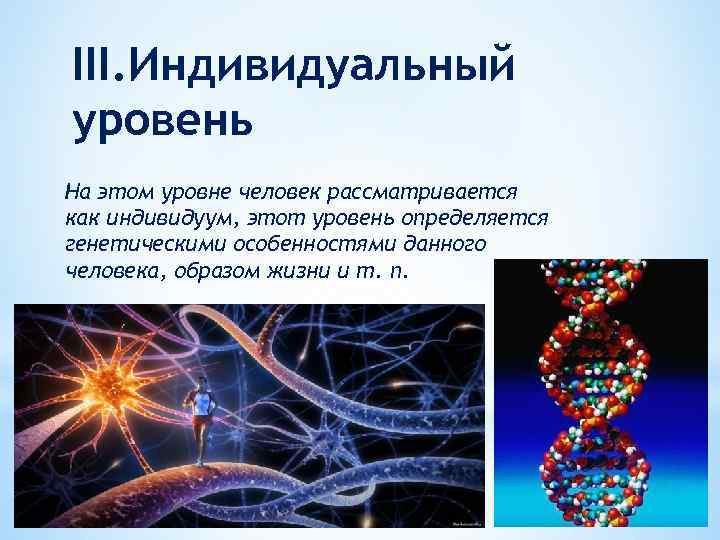 III. Индивидуальный уровень На этом уровне человек рассматривается как индивидуум, этот уровень определяется генетическими