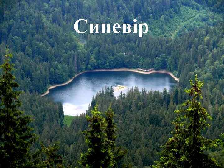 Синевір 