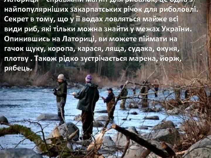 Латориця – справжній магніт для рибалок, це одна з найпопулярніших закарпатських річок для риболовлі.