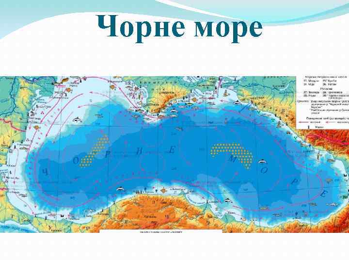 Чорне море 