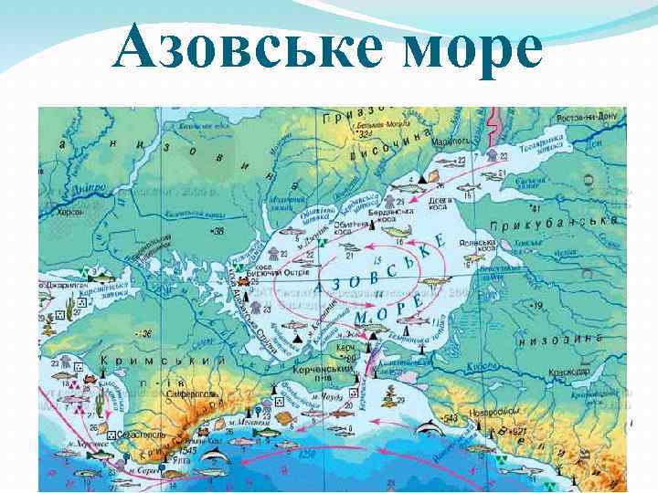 Азовське море 