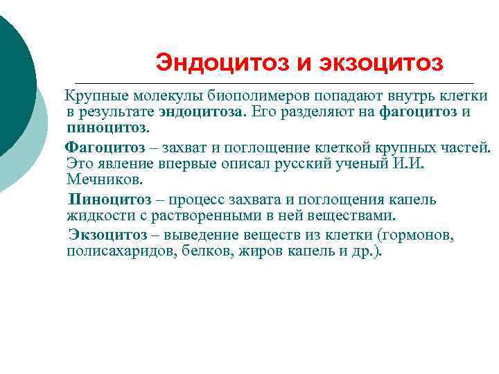 Эндоцитоз и экзоцитоз Крупные молекулы биополимеров попадают внутрь клетки в результате эндоцитоза. Его разделяют