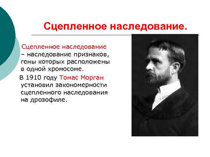Сцепленное наследование – наследование признаков, гены которых расположены в одной хромосоме. В 1910 году