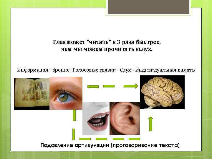 Глаз может "читать" в 3 раза быстрее, чем мы можем прочитать вслух. Информация -