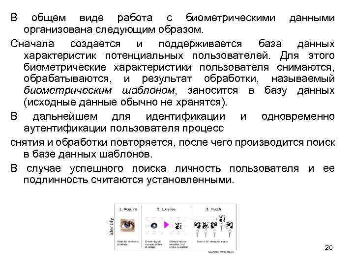 В общем виде работа с биометрическими данными организована следующим образом. Сначала создается и поддерживается