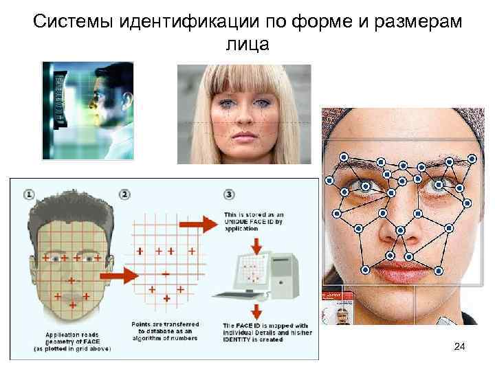 Системы идентификации по форме и размерам лица 24 