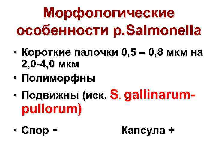 Морфологические особенности р. Salmonella • Короткие палочки 0, 5 – 0, 8 мкм на