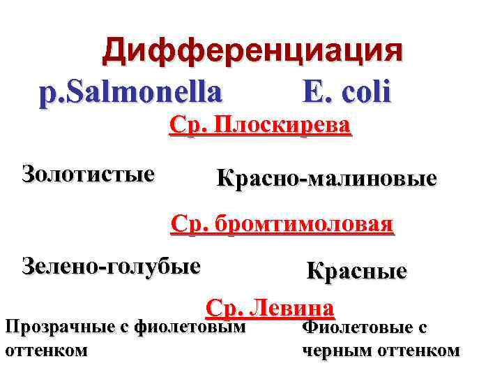 Дифференциация E. coli р. Salmonella Ср. Плоскирева Золотистые Красно-малиновые Ср. бромтимоловая Зелено-голубые Красные Ср.