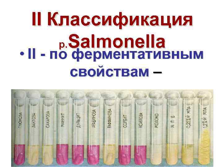 II Классификация р. Salmonella • II по ферментативным свойствам – 