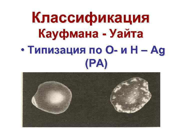 Классификация Кауфмана Уайта • Типизация по О и Н – Аg (РА) 