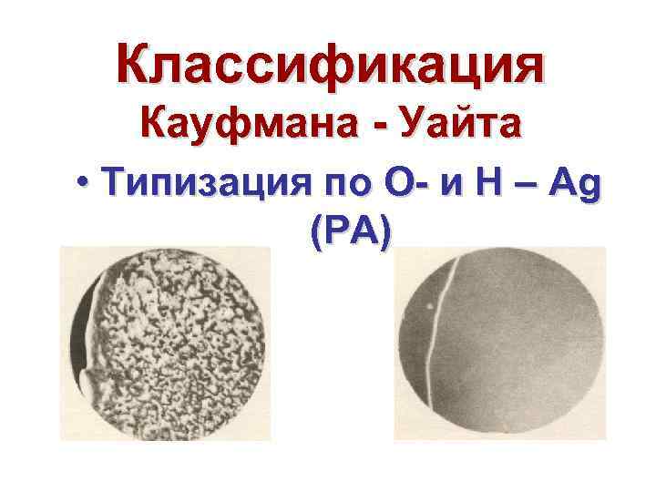 Схема кауфмана уайта