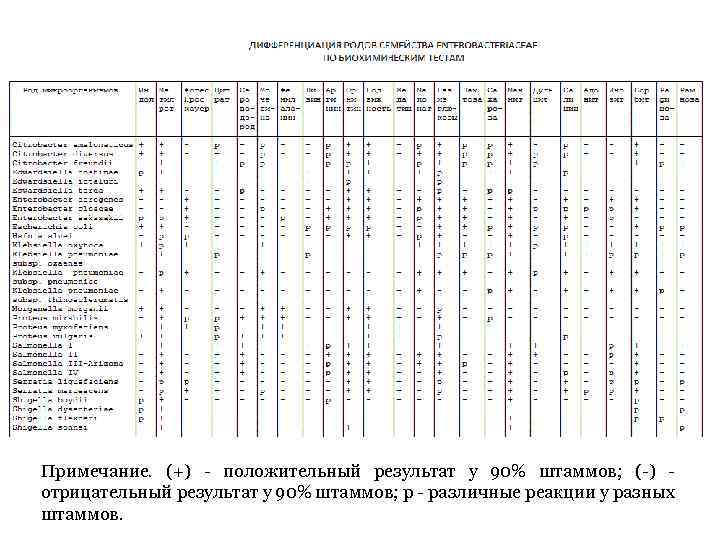 Примечание. (+) - положительный результат у 90% штаммов; (-) отрицательный результат у 90% штаммов;