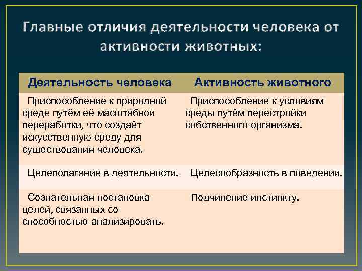 Деятельность человека Приспособление к природной среде путём её масштабной переработки, что создаёт искусственную среду