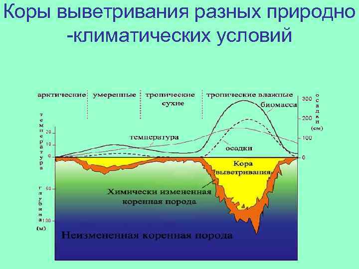 Коры выветривания разных природно -климатических условий 