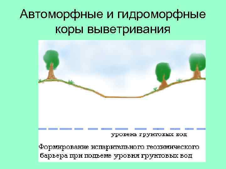 Автоморфные и гидроморфные коры выветривания 