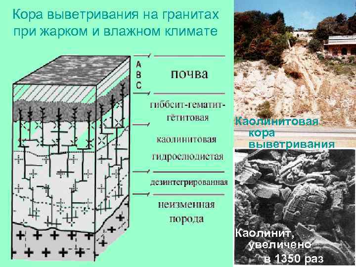 Кора выветривания на гранитах при жарком и влажном климате Каолинитовая кора выветривания Каолинит, увеличено