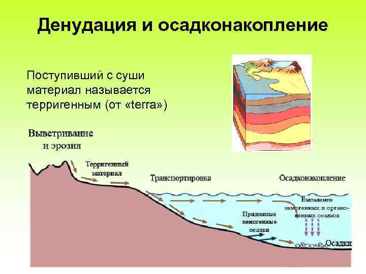 Континентальные отложения. Процесс осадконакопления. Обстановки осадконакопления. Осадконакопление Геология. Континентальные обстановки осадконакопления.