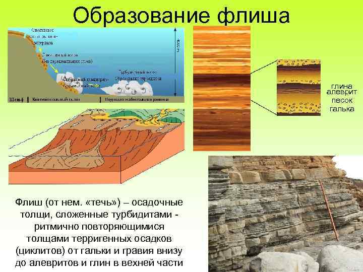 Формирование карбонатных осадочных пород