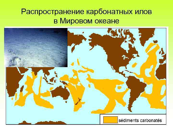 Распространение карбонатных илов в Мировом океане 