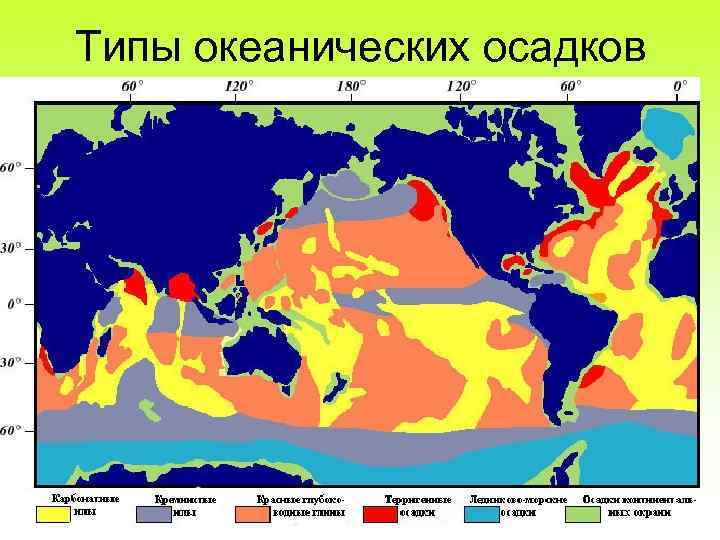 Типы океанических осадков 