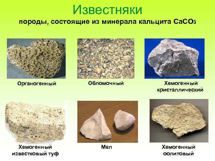 Известняки породы, состоящие из минерала кальцита Ca. CO 3 Органогенный Хемогенный известковый туф Обломочный