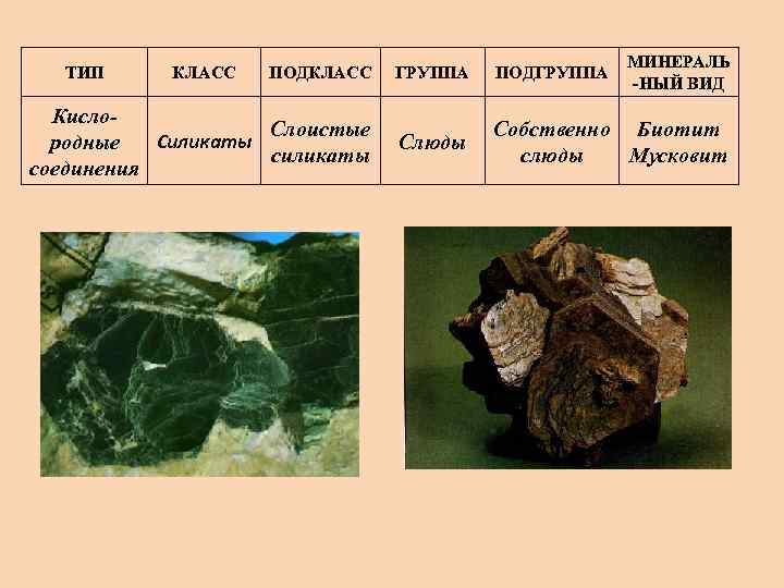 ТИП КЛАСС МИНЕРАЛЬ -НЫЙ ВИД ПОДКЛАСС ГРУППА ПОДГРУППА Кисло. Слоистые Силикаты родные силикаты соединения