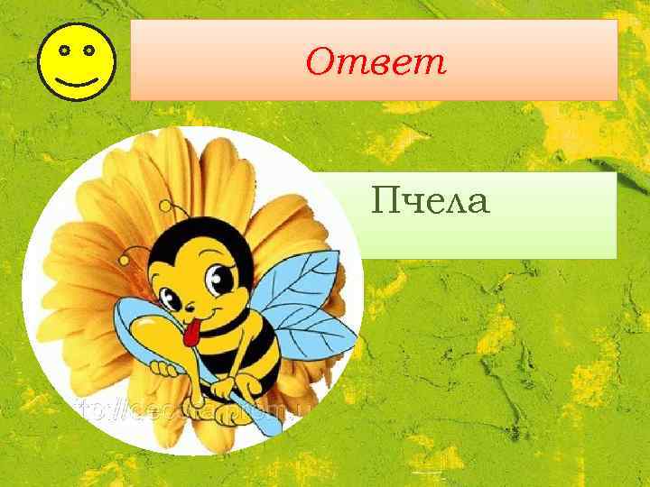 Ответ Пчела 