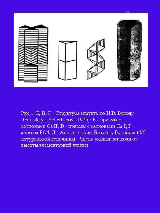 Д Б В Г Рис. 1. Б, В, Г - Cтруктура апатита по Н.