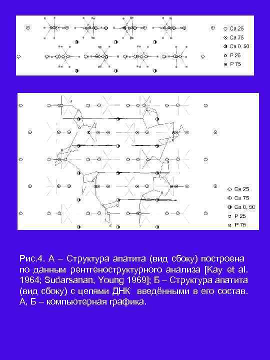 А Б Рис. 4. А – Структура апатита (вид сбоку) построена по данным рентгеноструктурного