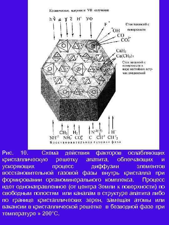 Рис. 10. Схема действия факторов ослабляющих кристаллическую решетку апатита, облегчающих и ускоряющих процесс диффузии