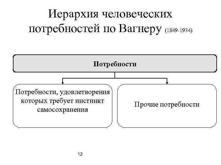 Иерархия человеческих потребностей по Вагнеру (1849 -1934) Потребности, удовлетворения которых требует инстинкт самосохранения 12