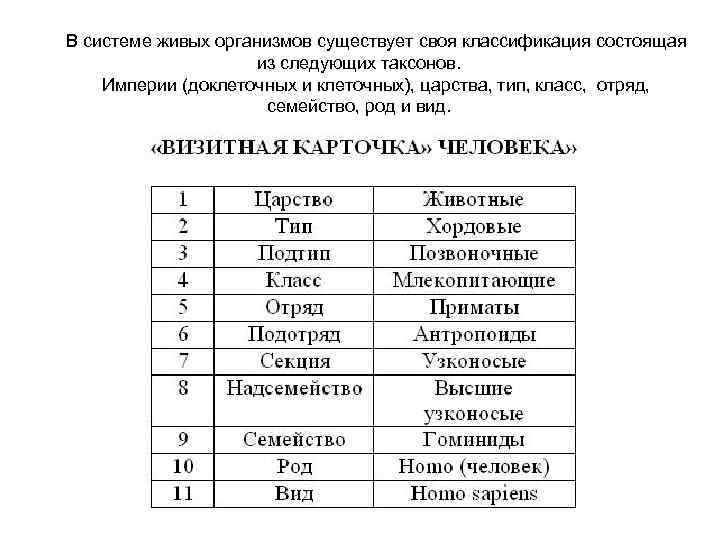 В системе живых организмов существует своя классификация состоящая из следующих таксонов. Империи (доклеточных и