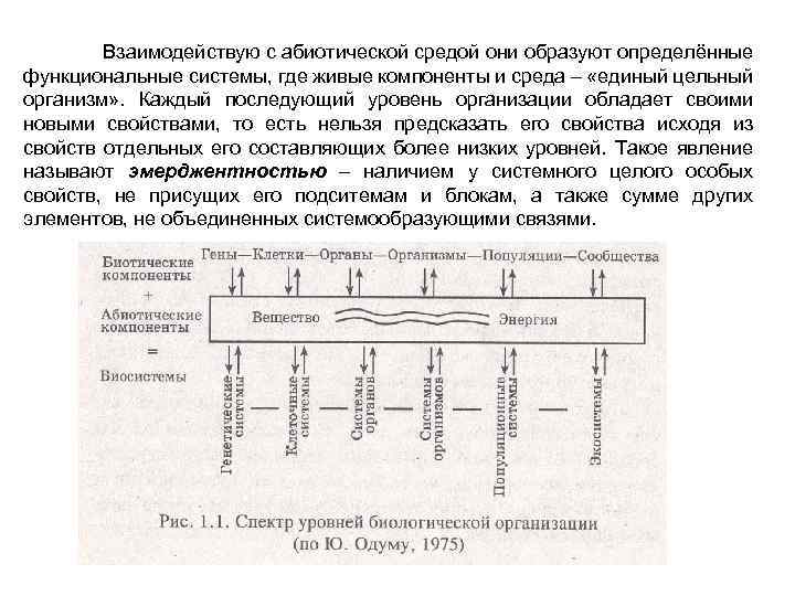 Взаимодействую с абиотической средой они образуют определённые функциональные системы, где живые компоненты и среда