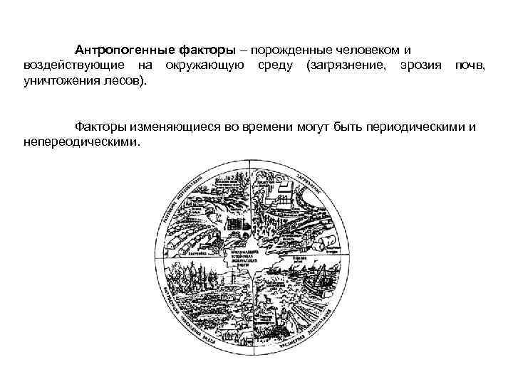 Антропогенные факторы – порожденные человеком и воздействующие на окружающую среду (загрязнение, эрозия уничтожения лесов).