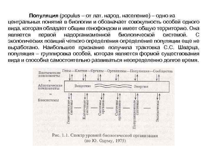 Популяция (populus – от лат. народ. население) – одно из центральных понятий в биологии