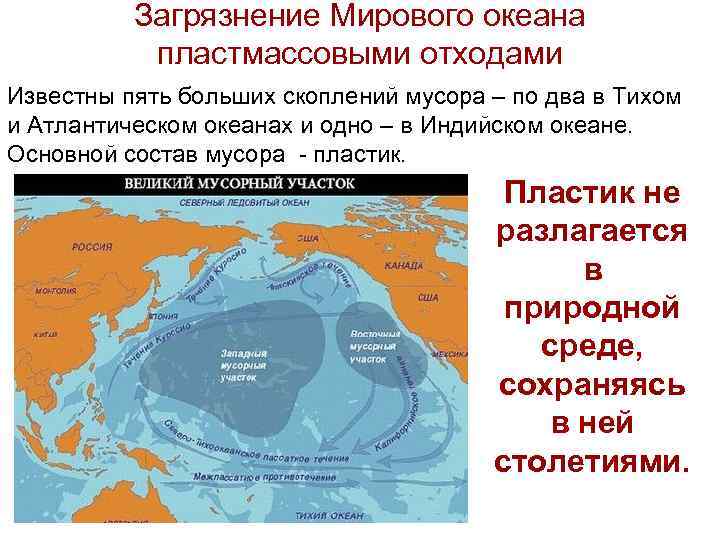 Концентрация нефтепродуктов в мировом океане карта